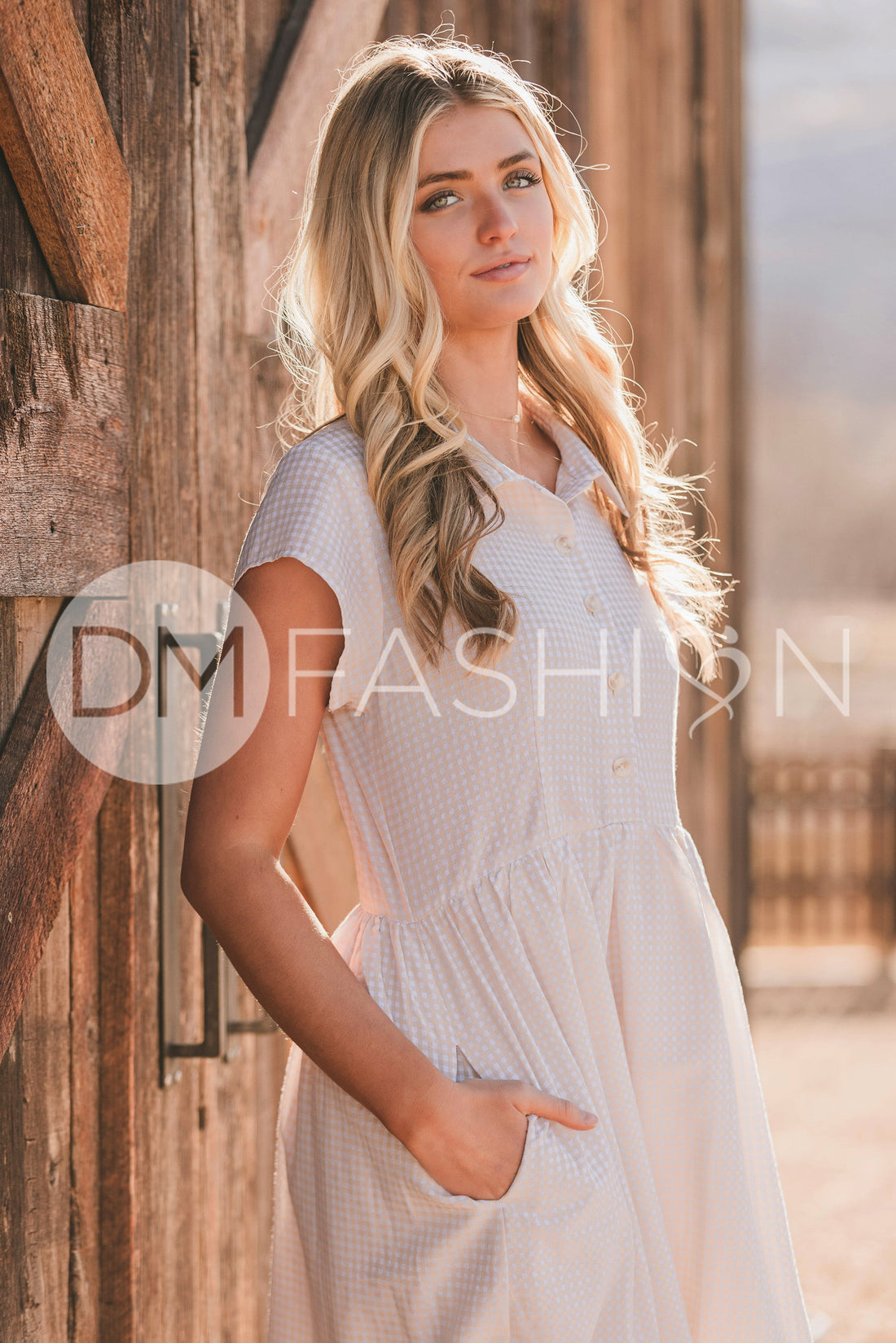 Sabrina Taupe Dress - MCO - Nursing Friendly