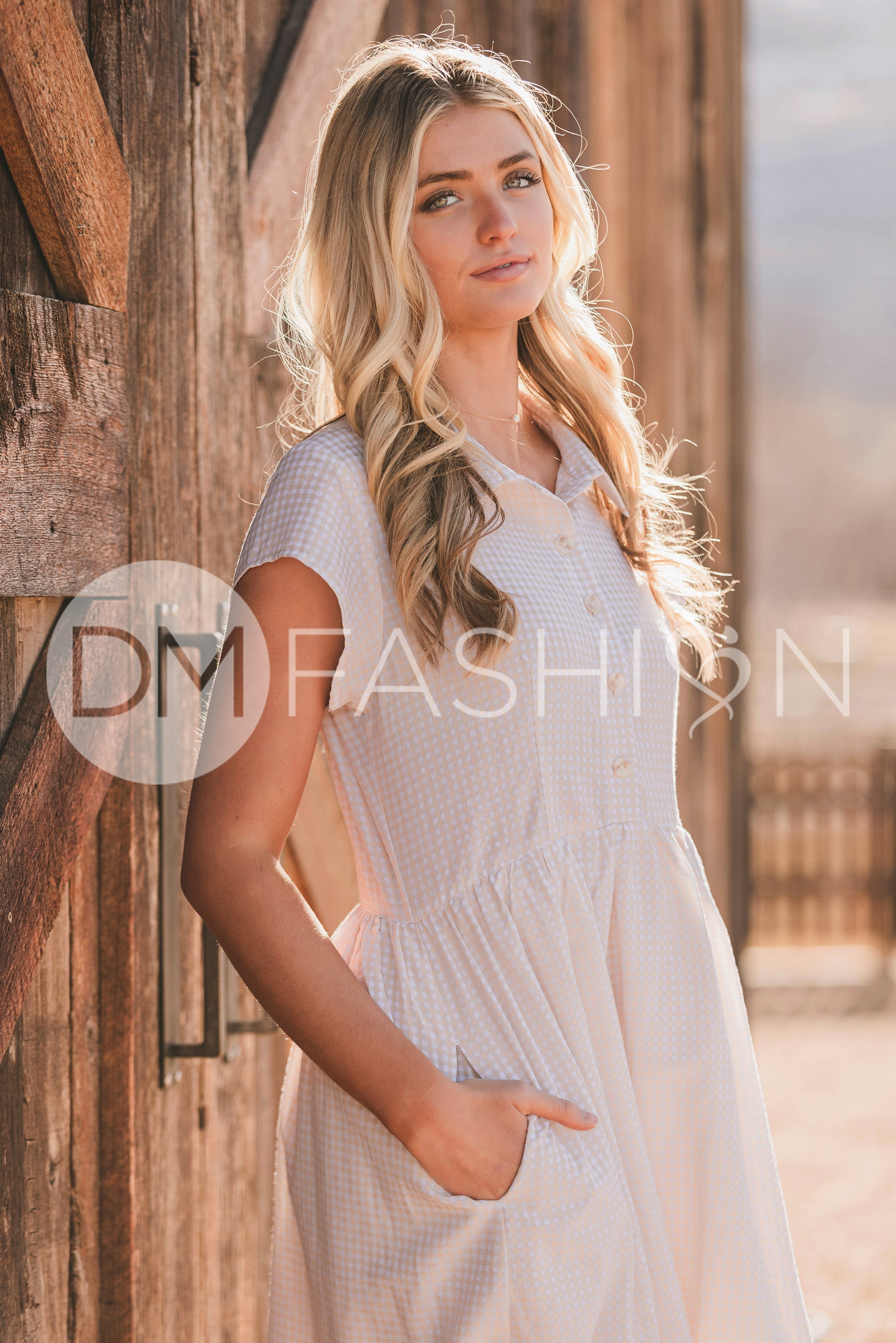 Sabrina Taupe Dress - MCO - Nursing Friendly