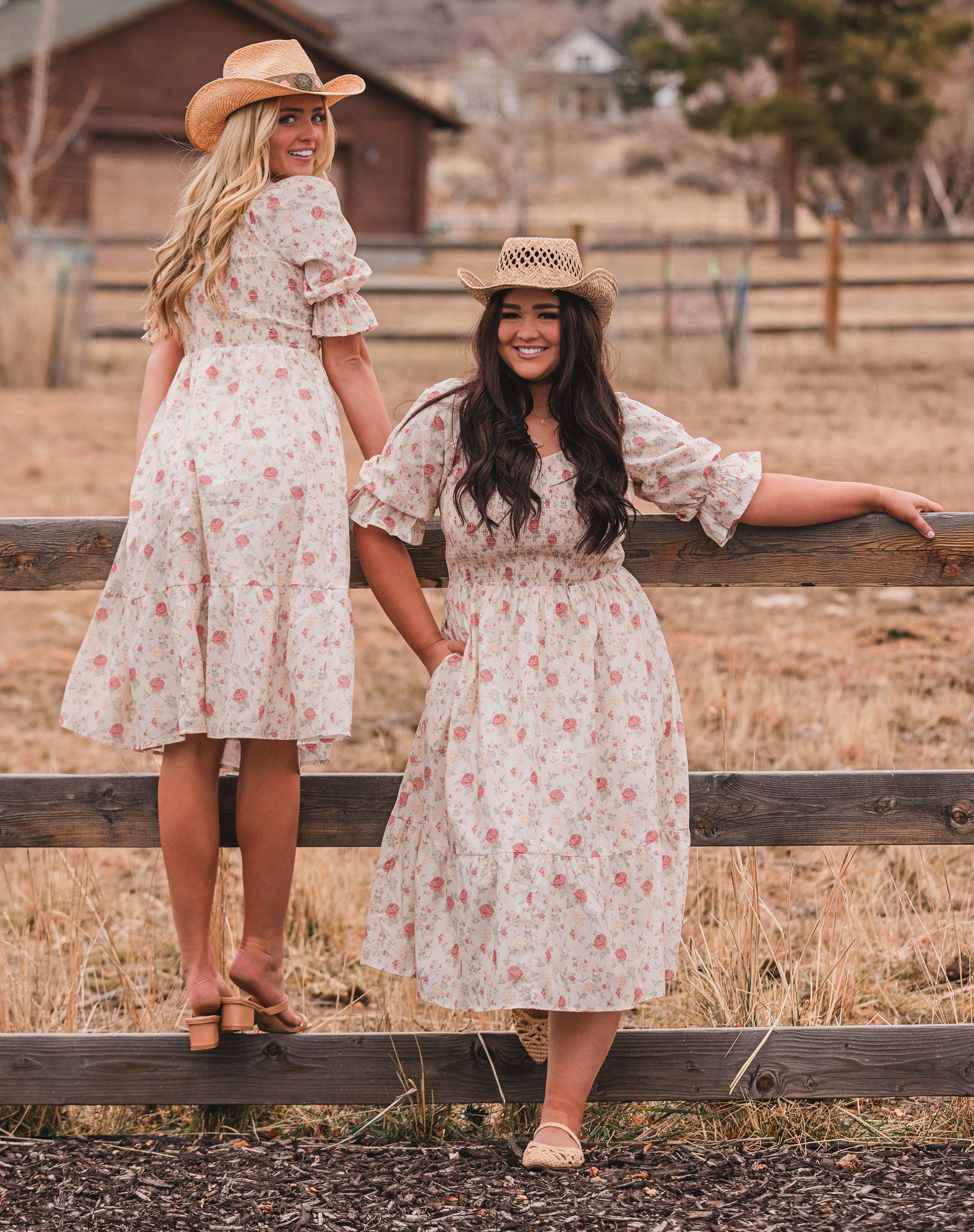 Clara Rose Garden Dress - DM Exclusive - Maternity Friendly - Nursing Friendly - LOW STOCK