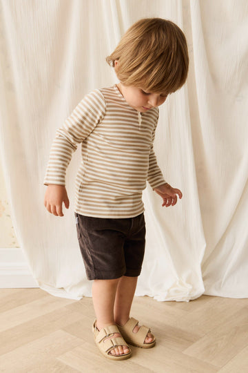 Jude Short - Bistre
