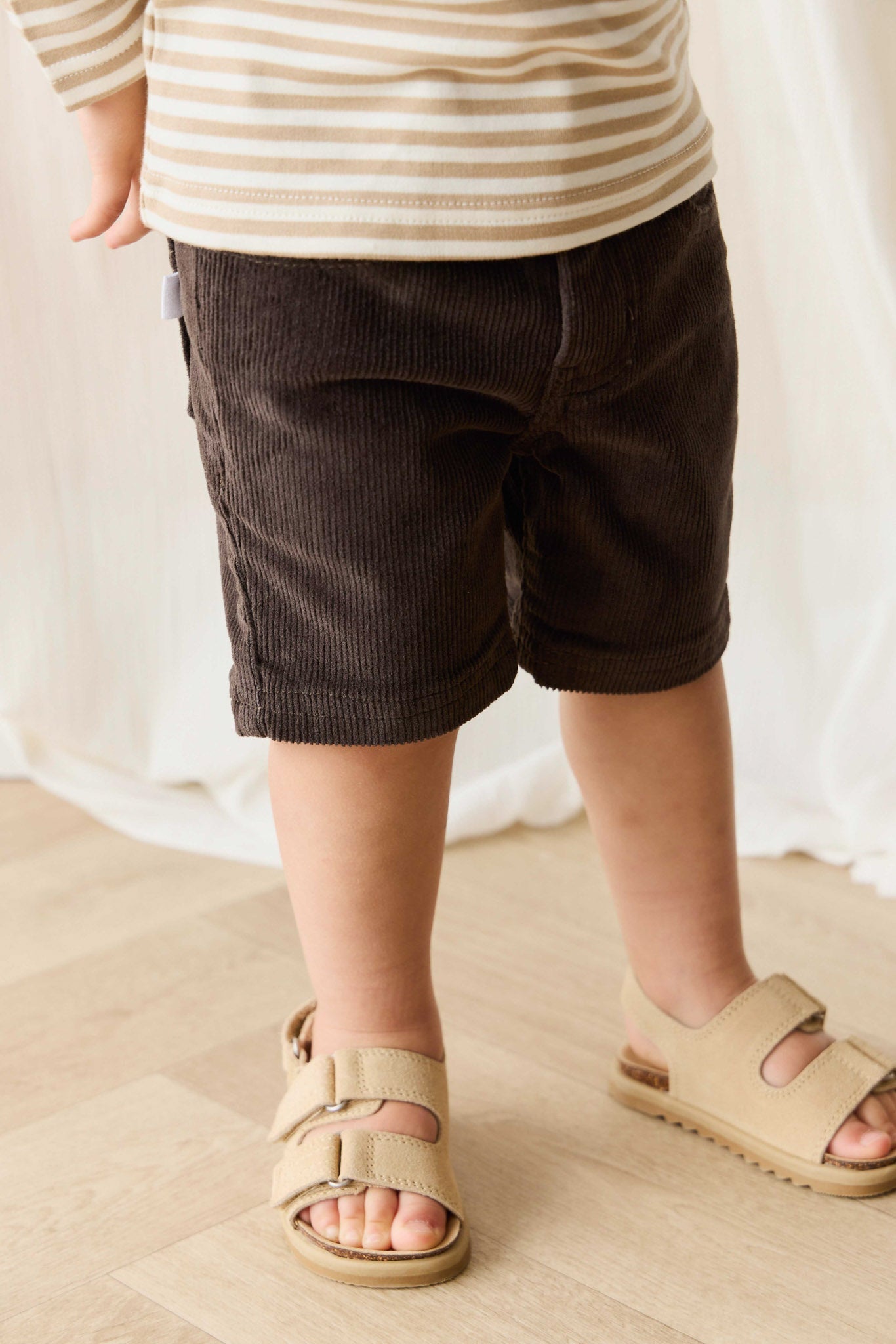 Jude Short - Bistre